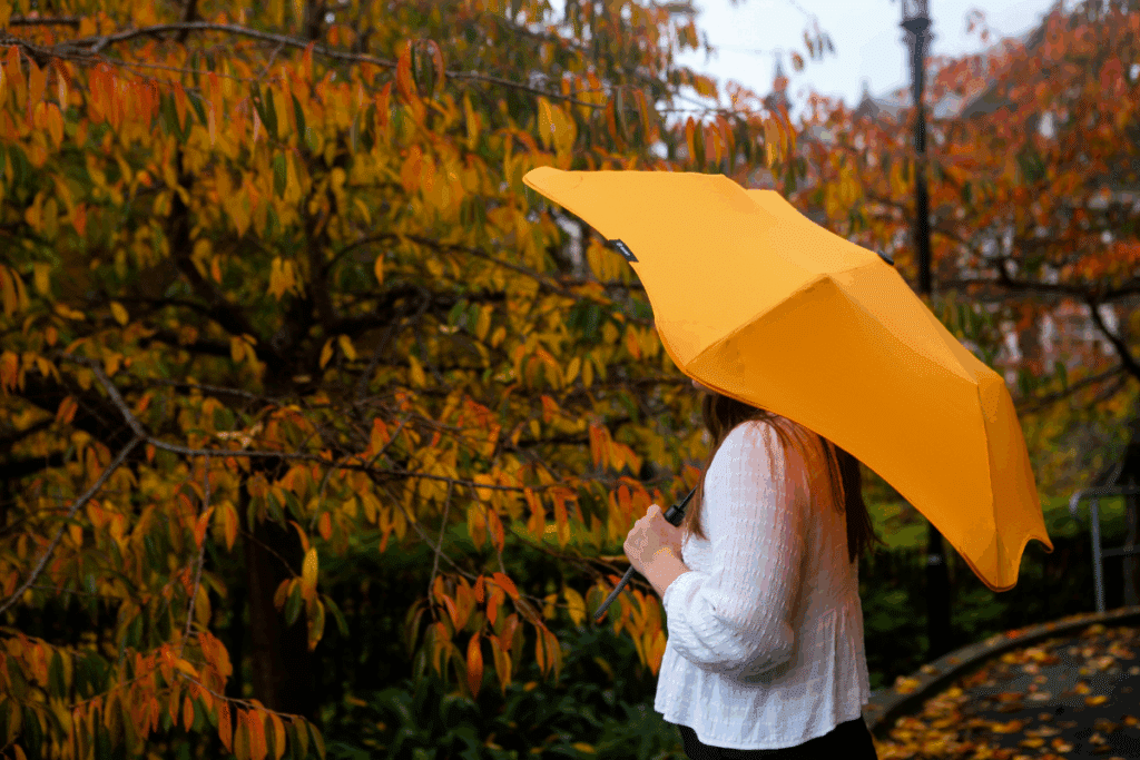 promotional umbrella