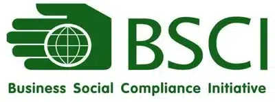 BSCI Logo
