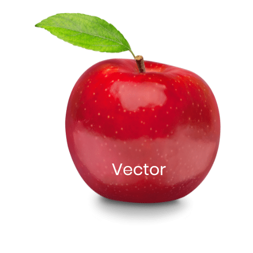 Vector