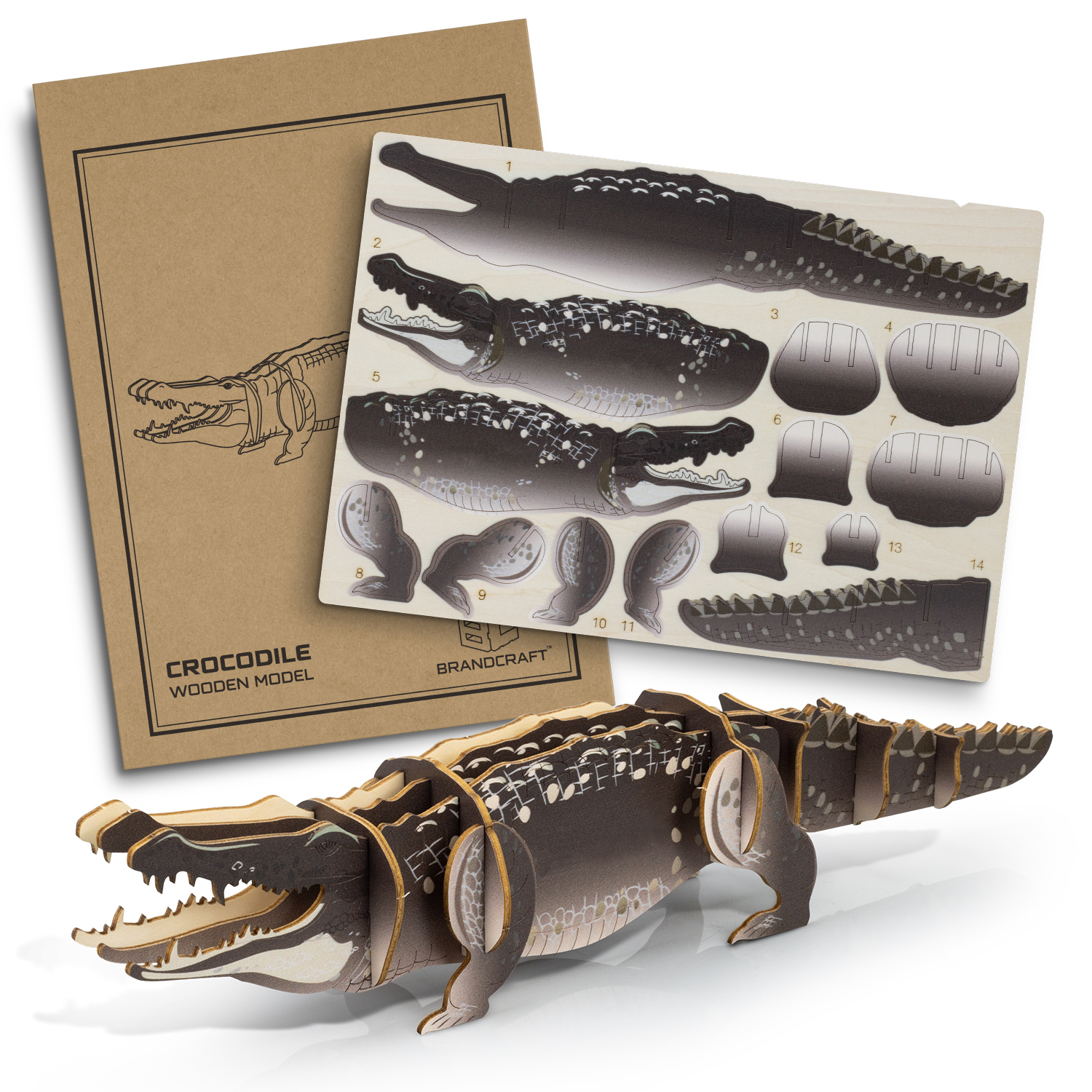 Promotional BRANDCRAFT Crocodile Wooden Model